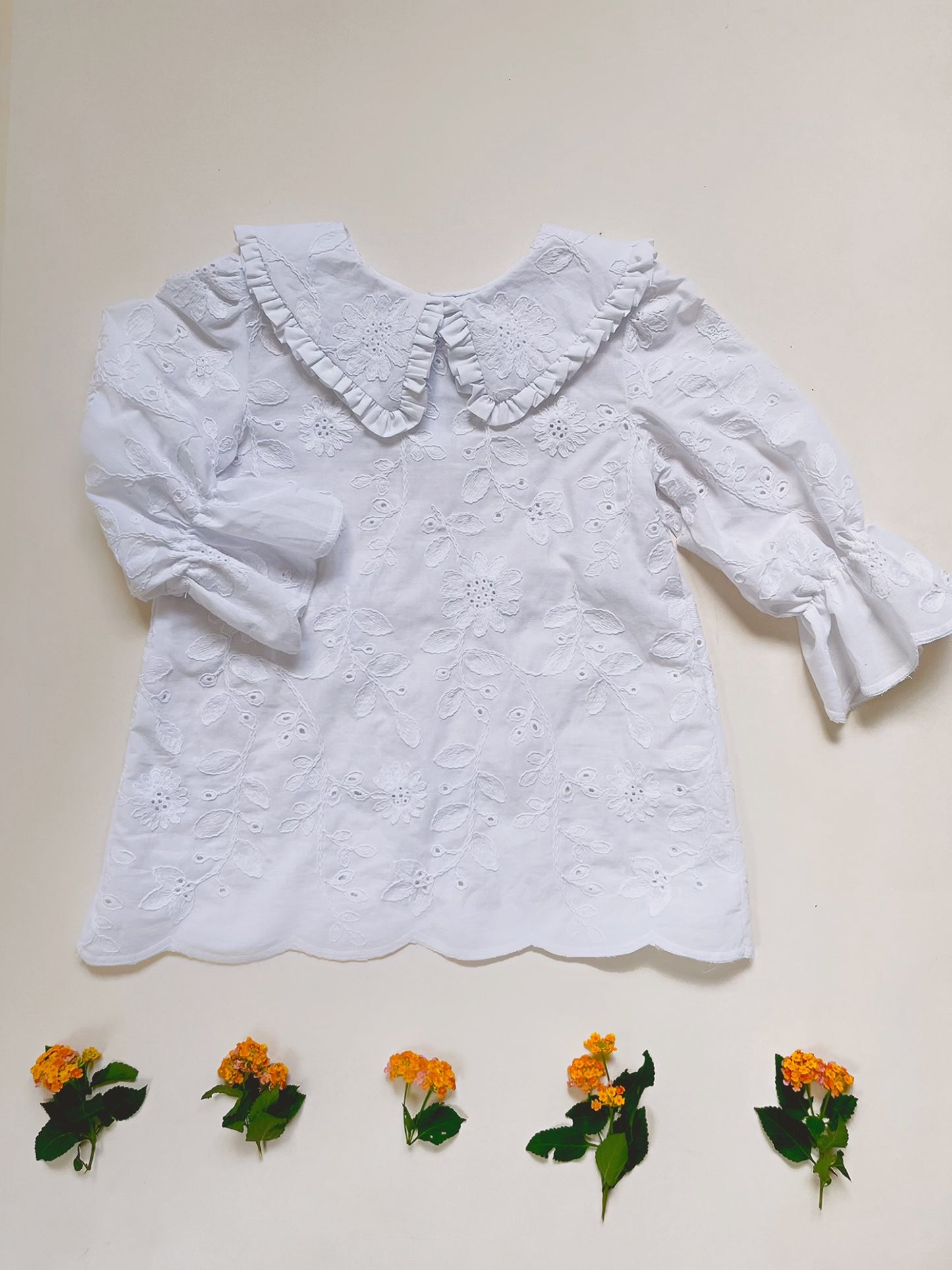 BLUSA CUELLO MARINERO OJALILLO