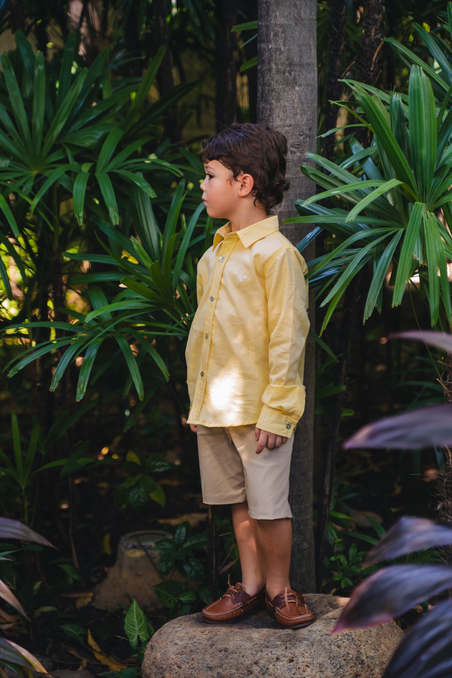 CAMISA CLASICA VAINILLA