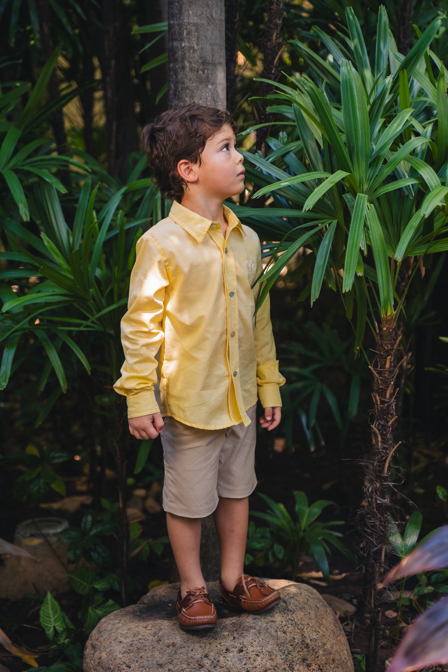 CAMISA CLASICA VAINILLA