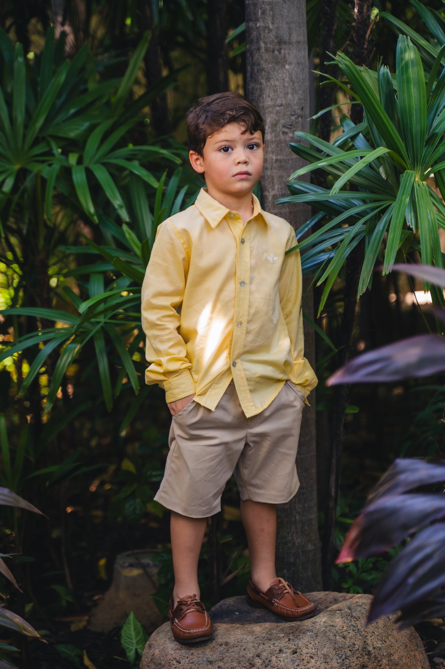 CAMISA CLASICA VAINILLA