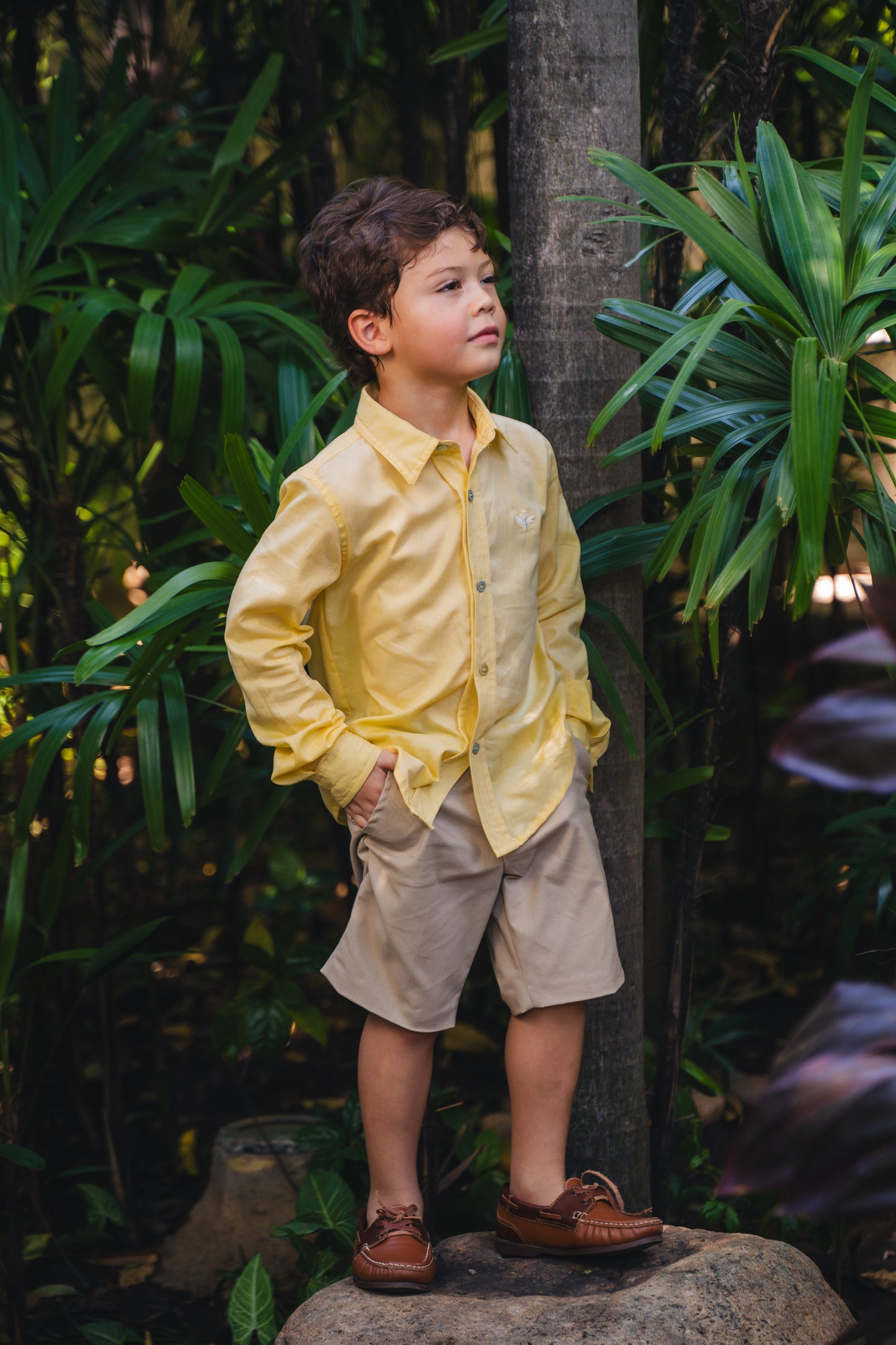 CAMISA CLASICA VAINILLA