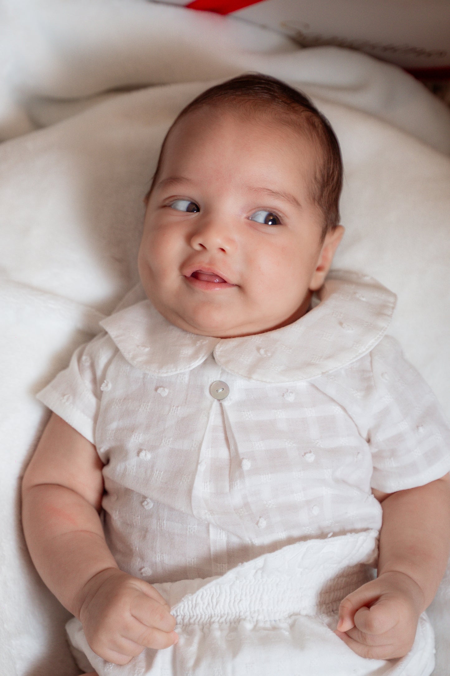 CAMISA PLUMETTI MAGIC